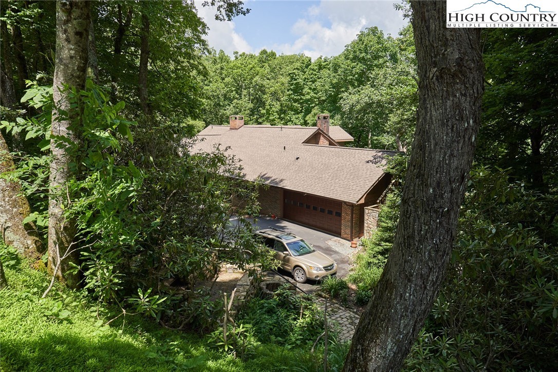 The house among deep trees.